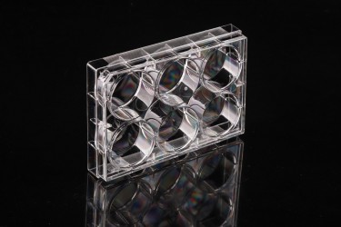 Sterile 6-Well-Platten mit Glasboden für adhärente Kultur TC, Ø20mm, einzeln verpackt, 10x1 Stück/10 Stück