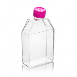 Sterile TC-Flaschen 250ml / 75cm2 mit Filter für adhärente Kultur, 20x5 Stück / 100 Stück