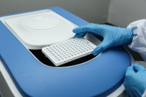 PCR Platten